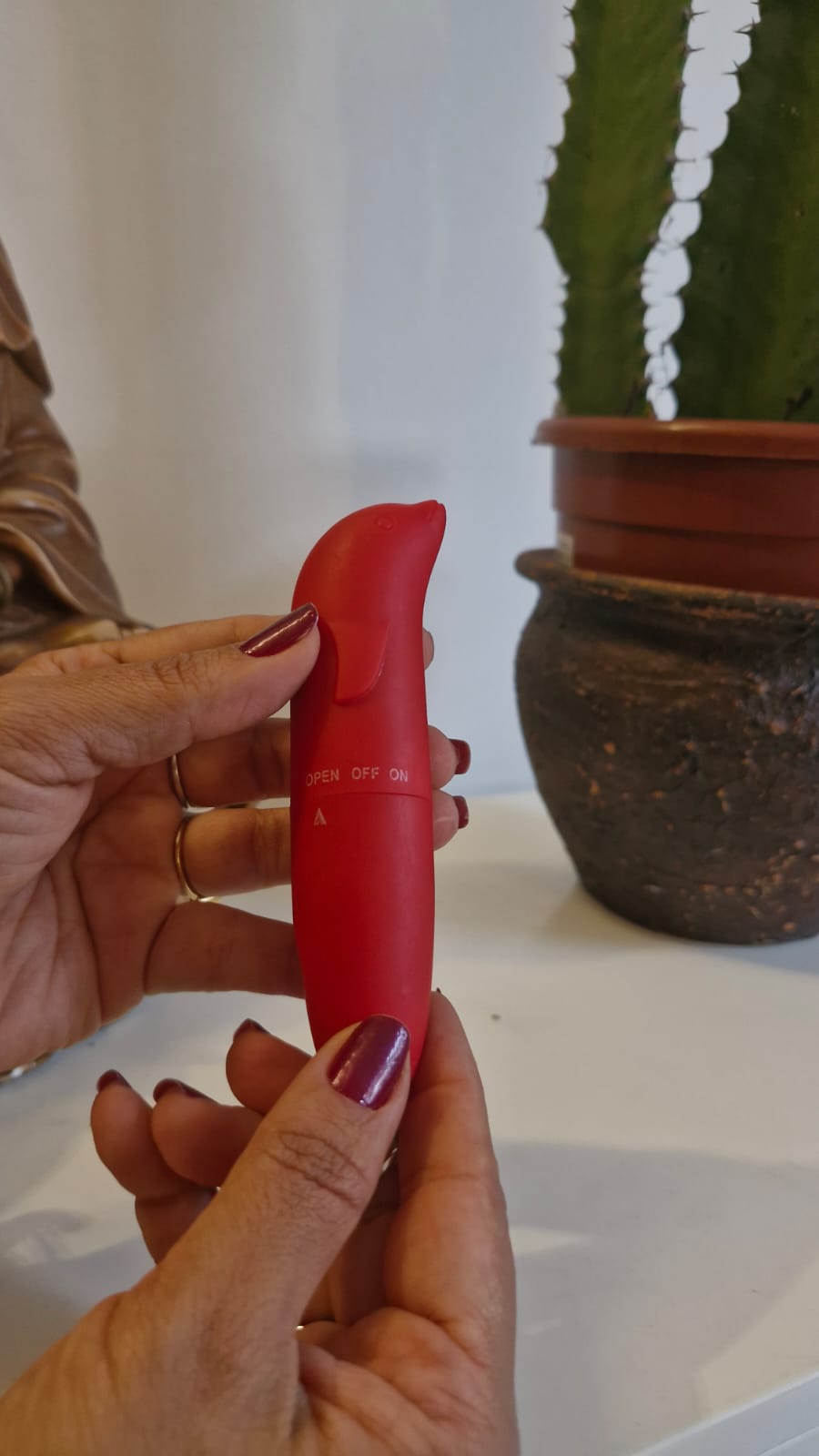 Vibrador Golfinho Toque Aveludado